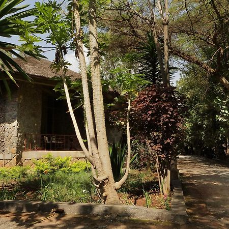 Abay Minch Lodge Bahir Dar Luaran gambar