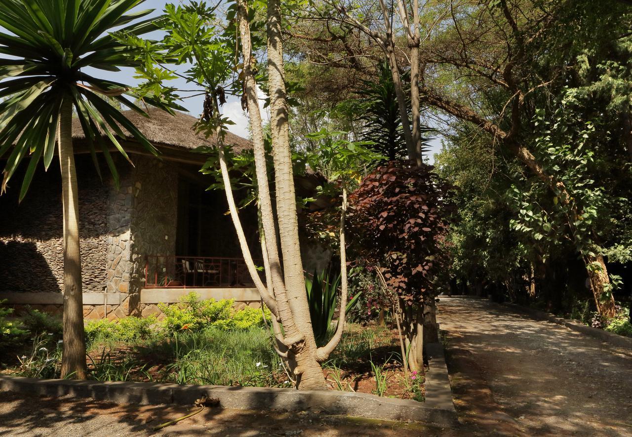 Abay Minch Lodge Bahir Dar Luaran gambar
