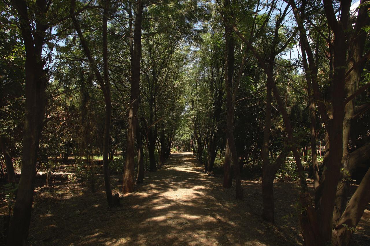 Abay Minch Lodge Bahir Dar Luaran gambar