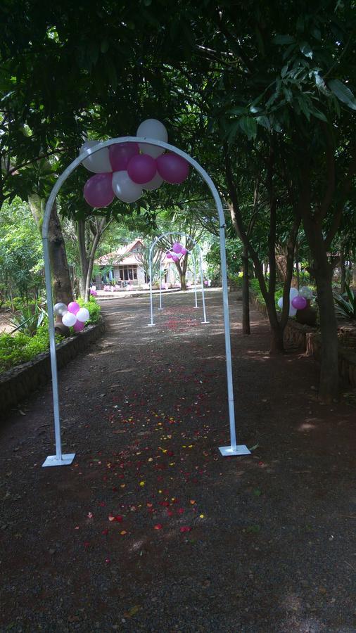 Abay Minch Lodge Bahir Dar Luaran gambar