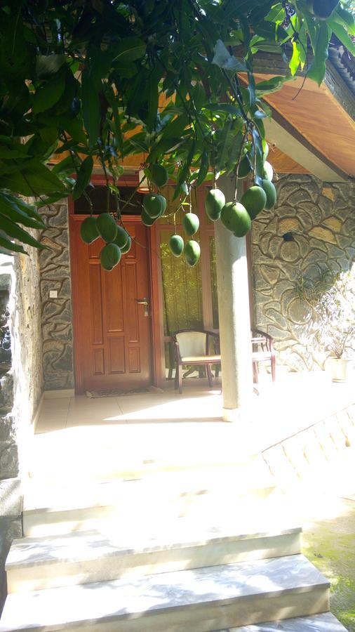 Abay Minch Lodge Bahir Dar Luaran gambar