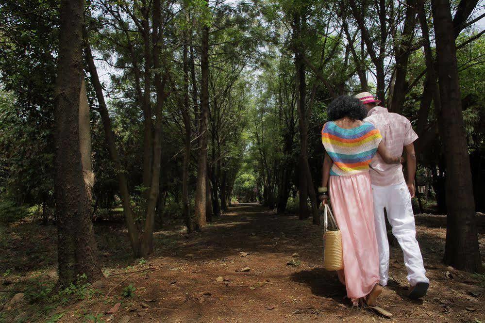 Abay Minch Lodge Bahir Dar Luaran gambar